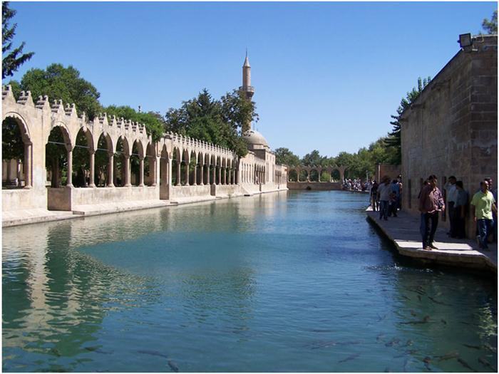 Şanlıurfa Evden Eve Nakliyat